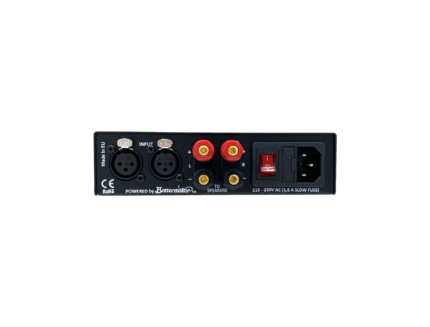 Auratone A2-30 Amplificatore